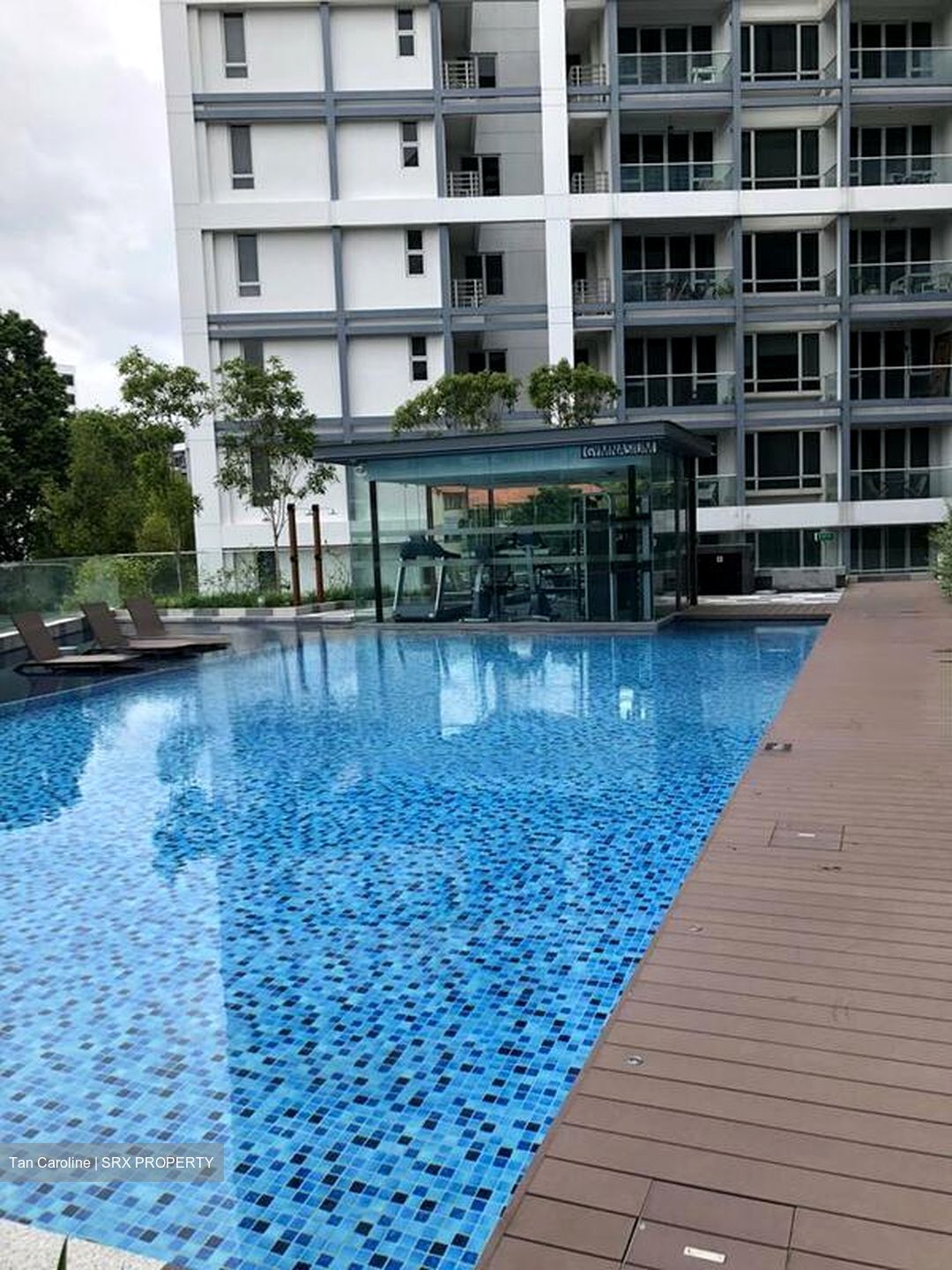 The Rise @ Oxley (D9), Condominium #466394751